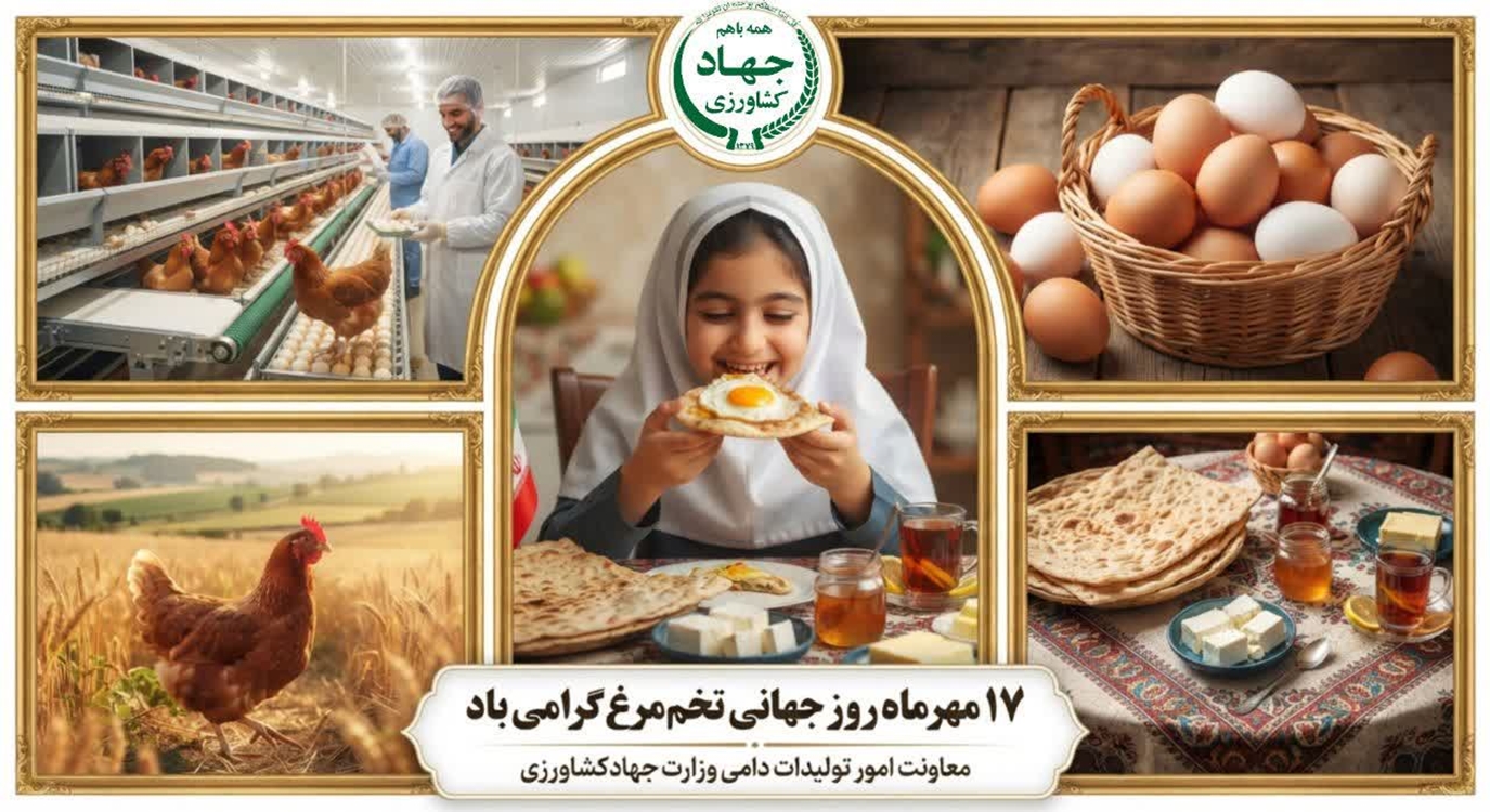 17 مهرماه؛ روز جهانی تخم مرغ